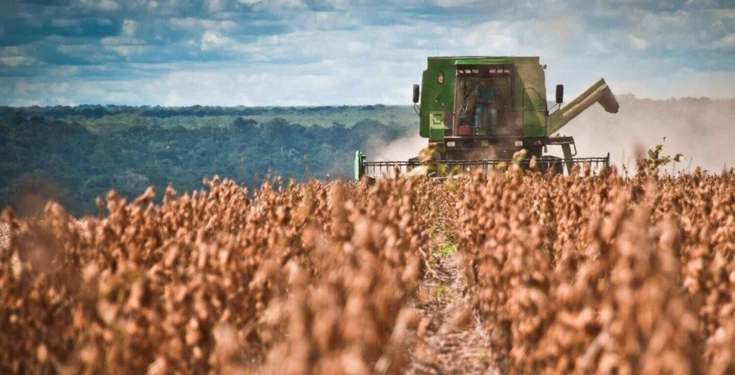 El Gobierno eliminará temporalmente las retenciones a  carnes  y  granos