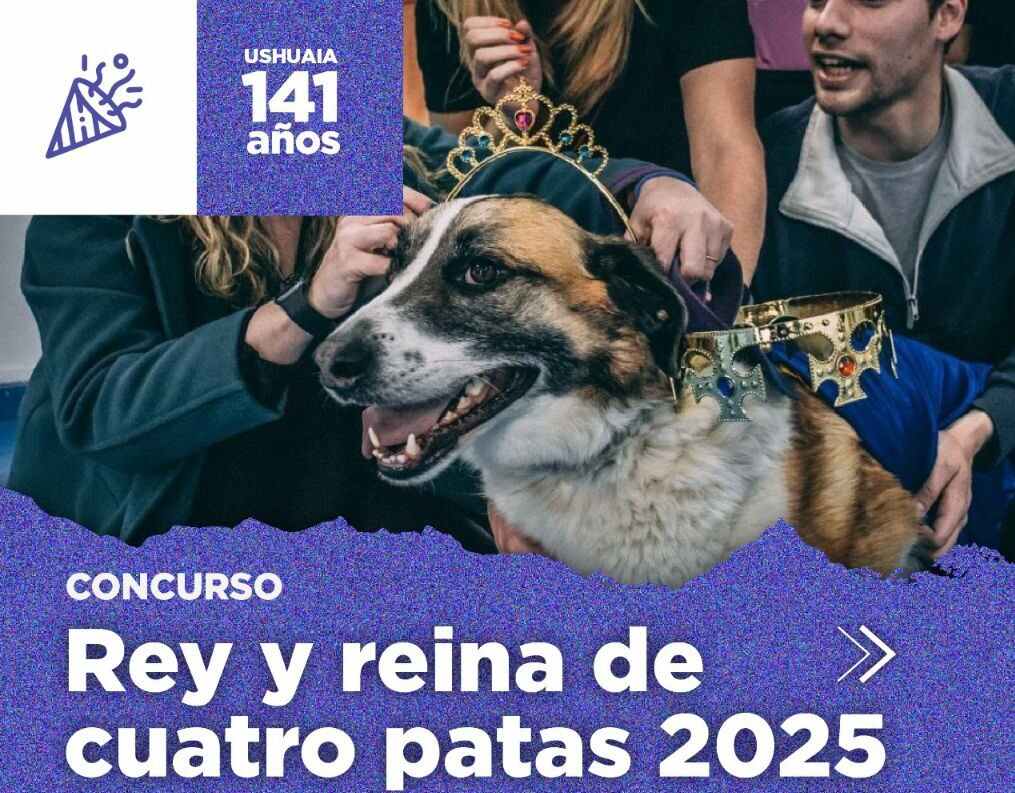 La Municipalidad de Ushuaia abrió la inscripción para el concurso Rey y Reina de Cuatro Patas 2025