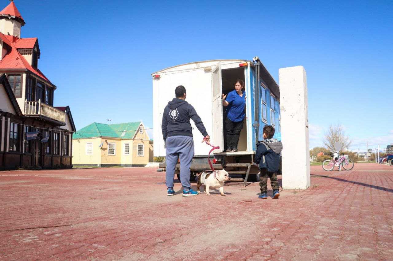 Zoonosis realizó más de 350 atenciones en la Jornada de Vacunación Antirrábica