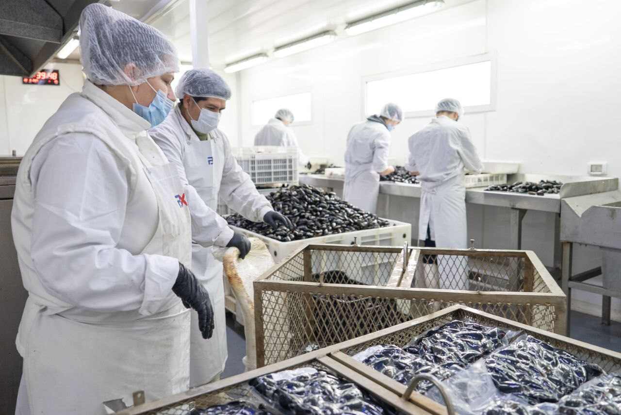 “Industria en Vivo”, abordó la importancia de la industria alimentaria para la diversificación productiva de Tierra del Fuego