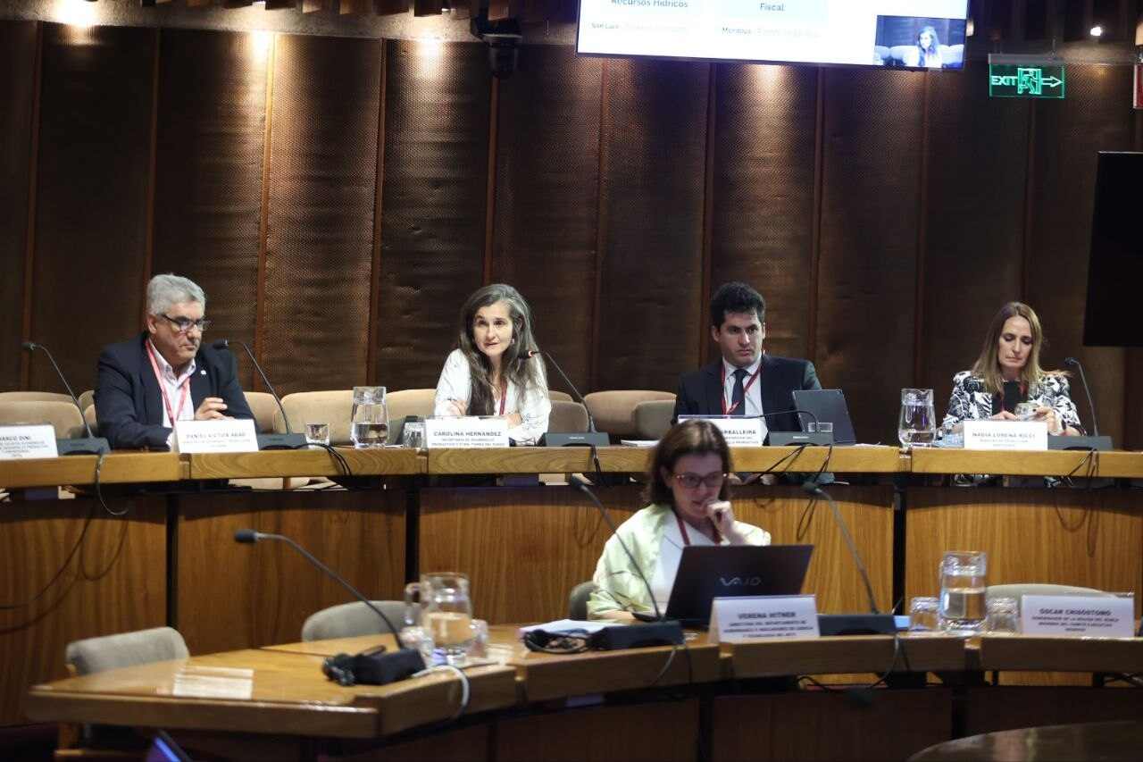 Tierra del Fuego destacó su potencial agroalimentario en un encuentro federal de desarrollo productivo en Chile