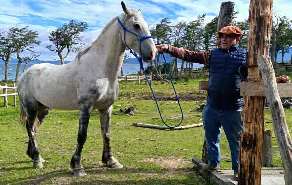 Zoonosis Municipal realizó una jornada de chipeo de equinos en estancia La Carmen