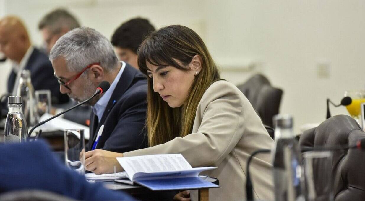 La legisladora Laura Colazo rechazó la modificación de la Ley N°1355