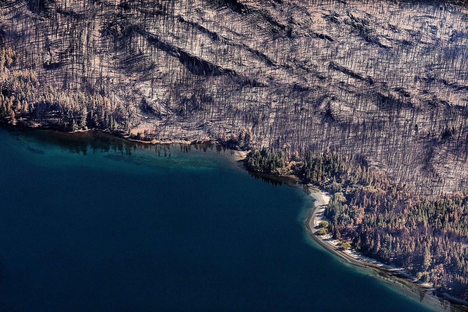 Gobernadores de la Patagonia exigen a Milei que declare la emergencia nacional por los incendios