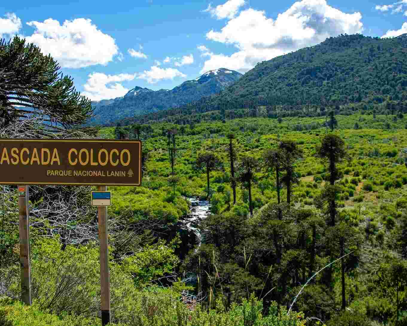 Informan recorte presupuestario a 46 Parques Nacionales