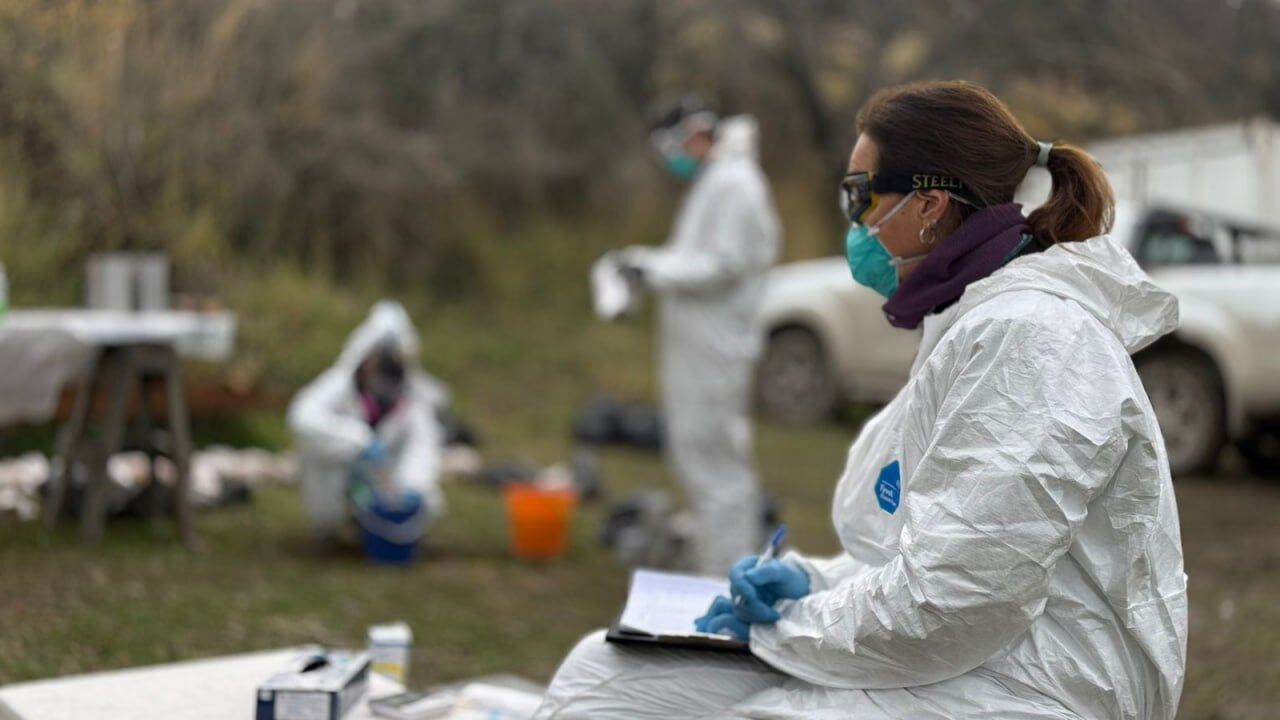 La Provincia y el Malbrán concluyeron el operativo de vigilancia por Hantavirus en Ushuaia