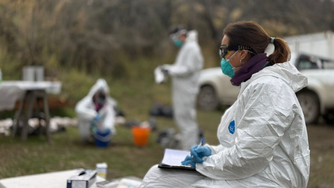 Salud confirmó que la variante de Hantavirus vinculada al crucero MV Hondius no circula en Ushuaia