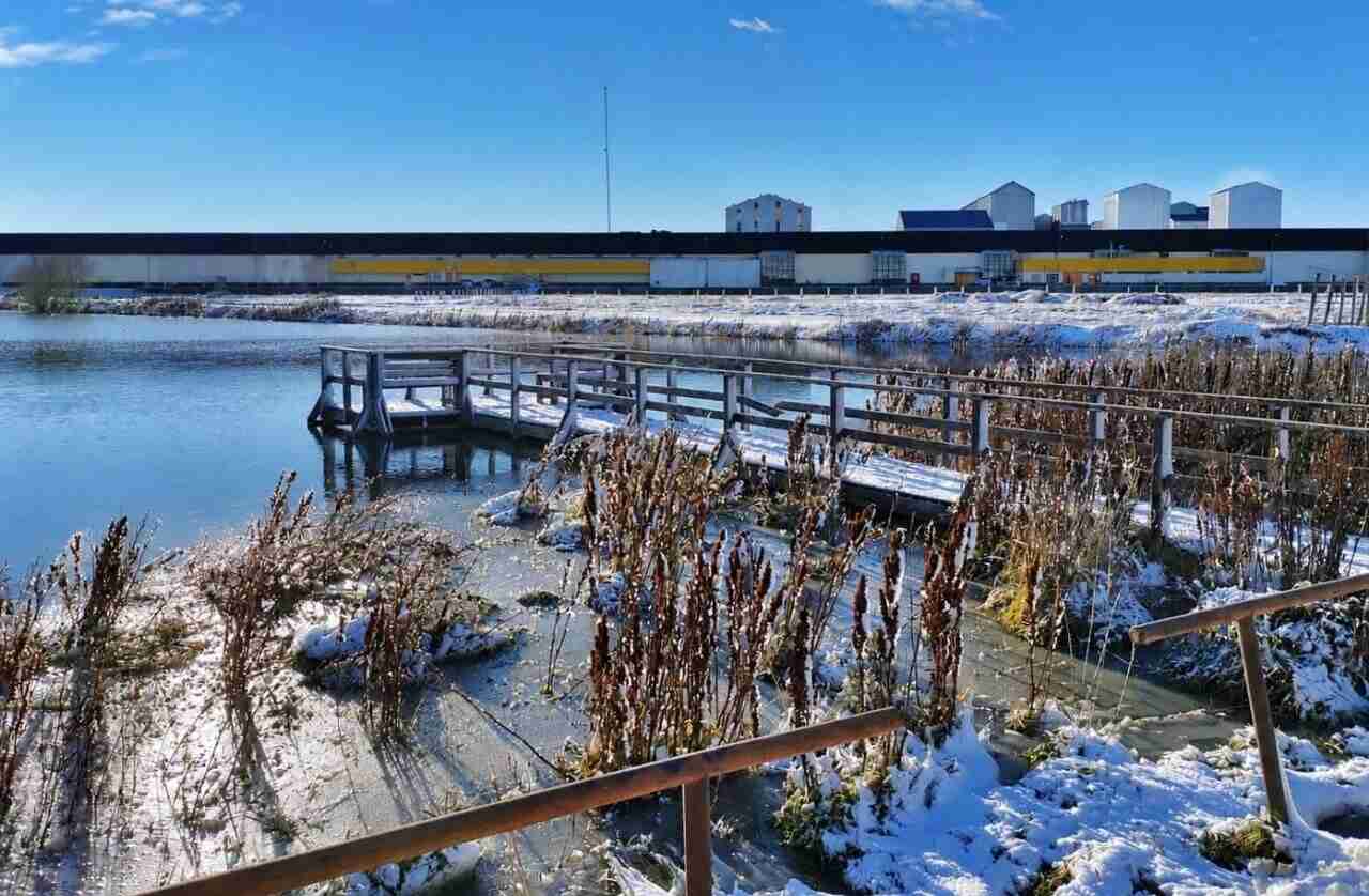 La Laguna de los Patos NO se encuentra habilitada para actividades sobre hielo