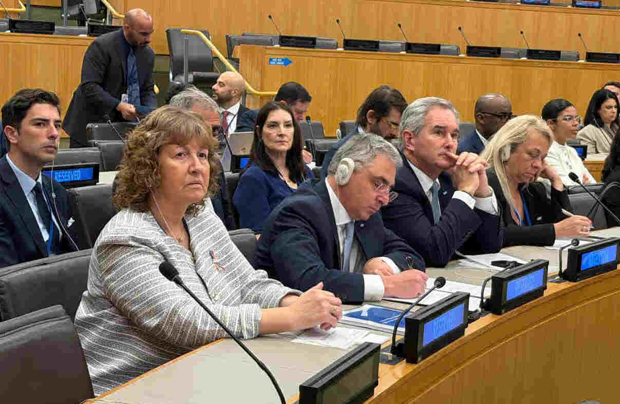 La Vicegobernadora integró la delegación argentina ante el Comité de Descolonización de la ONU