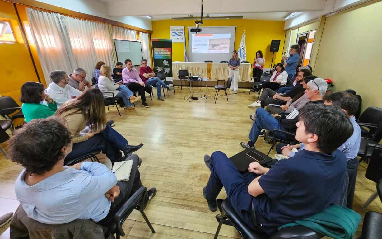 “Perro suelto cero”: Tierra del Fuego refuerza acciones frente a la problemática de los perros sueltos y asilvestrados