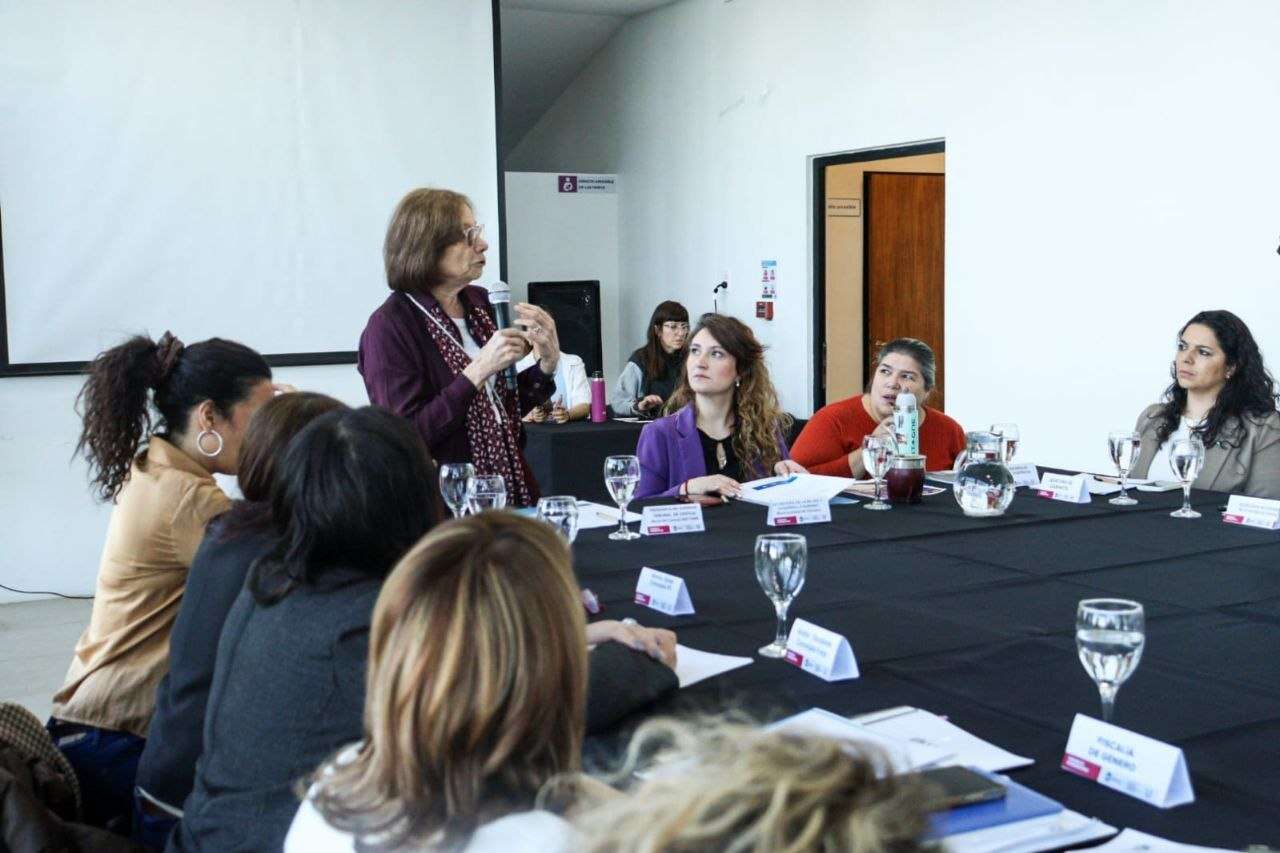 El Consejo Consultivo de la Mujer tendrá funcionamiento permanente y reuniones periódicas
