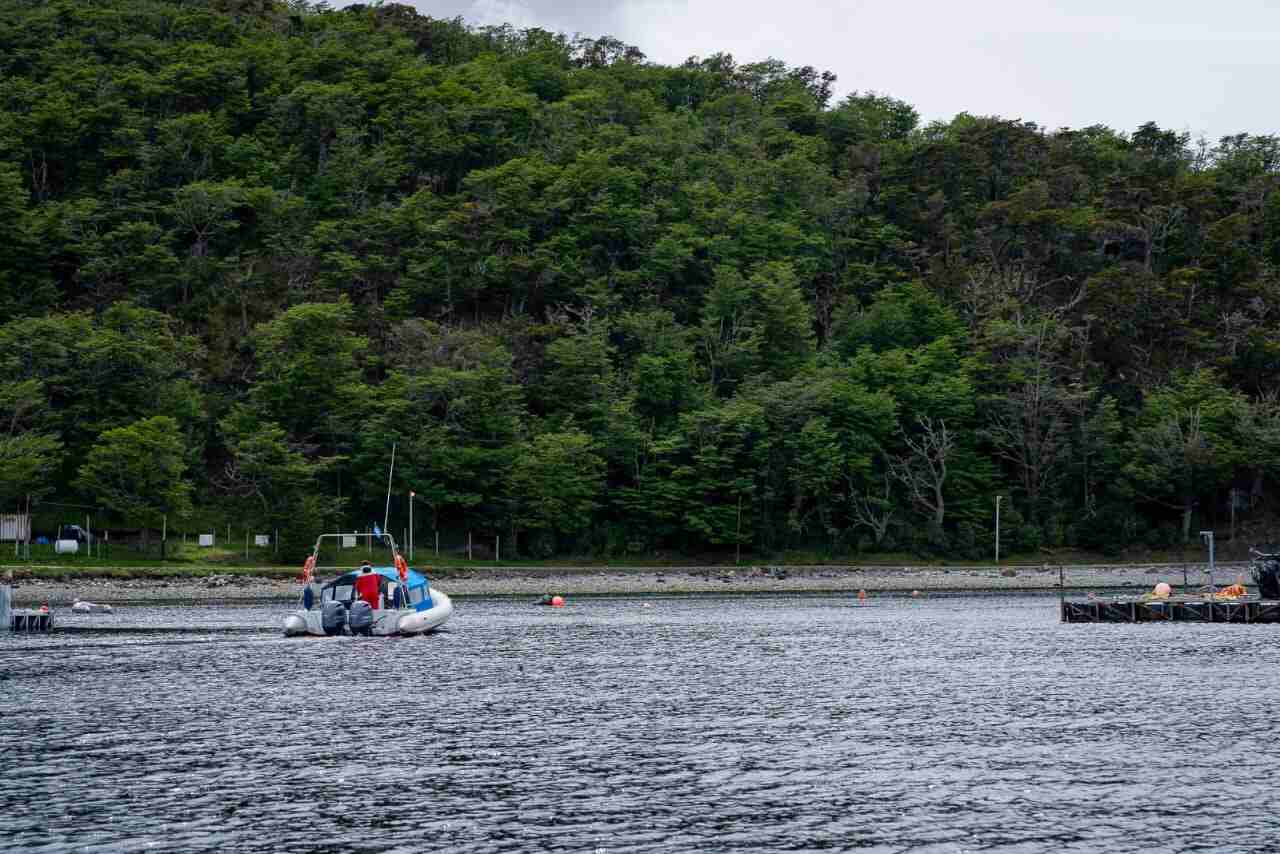 Se abren las inscripciones para las jornadas de capacitación "Zona Especial Canal Beagle"
