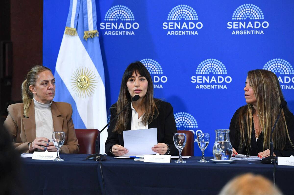 María Laura Colazo fue designada Presidenta de la Comisión Federal de Cambio Climático