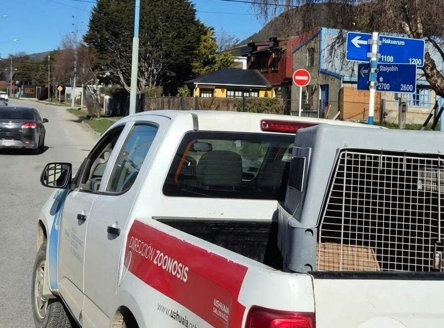 La Municipalidad labró 28 actas por infracciones a la normativa sobre tenencia responsable